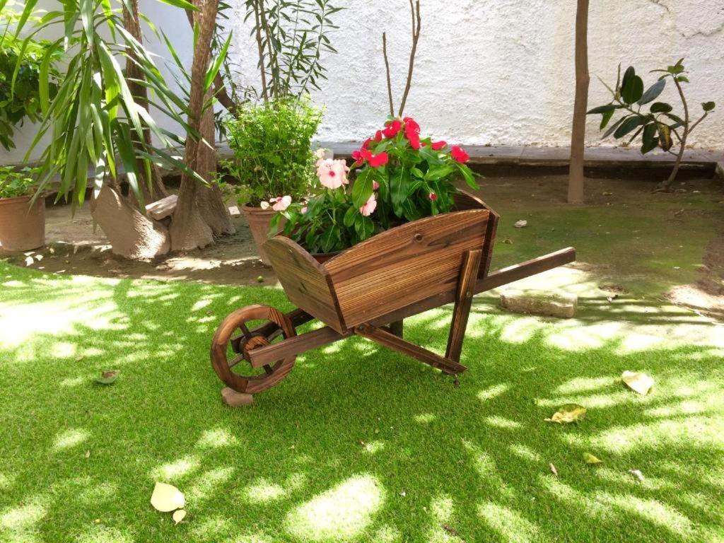 Star Parthenon Apartment Atenas Exterior foto